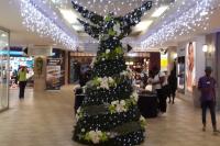 HATFIELD PLAZA 2015