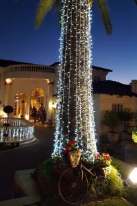 WINDSOR PALMS