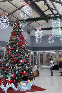 FLORA CENTRE 2016